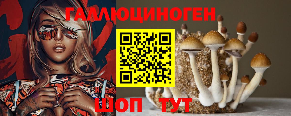 Псилоцибиновые грибы ЛСД  Псилоцибиновые грибы Psilocybe  Вход с VPN  Светлоград 