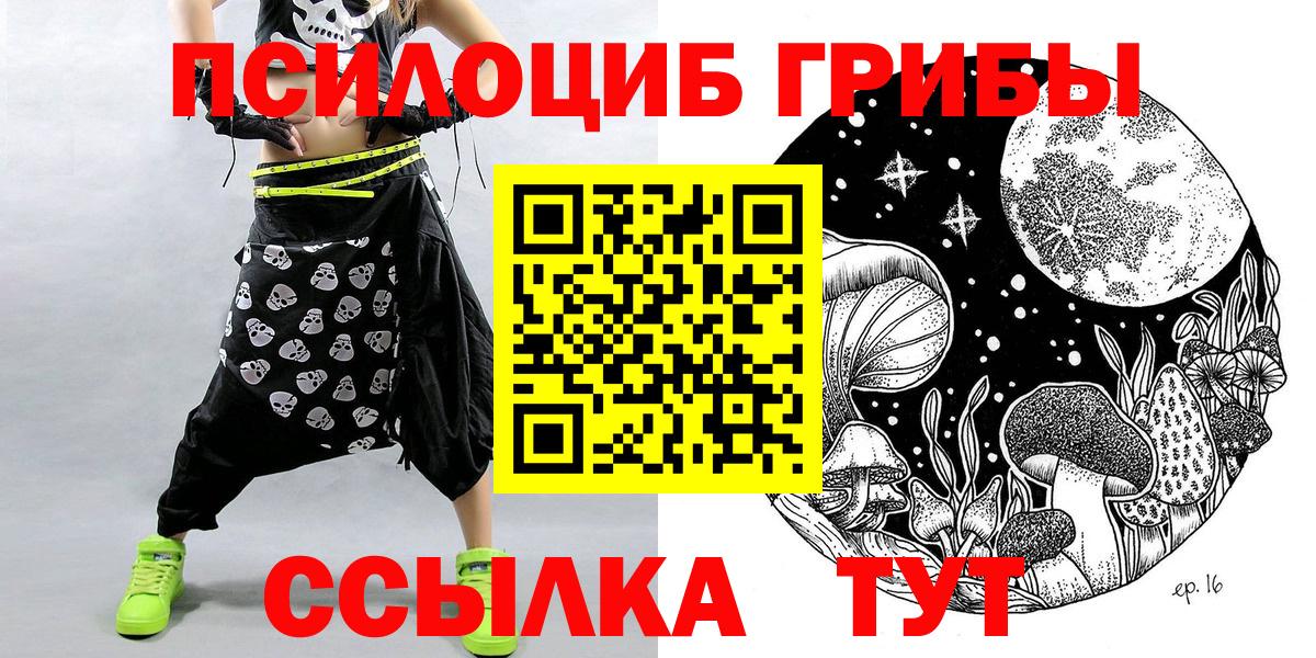 Галлюциногенные грибы Psilocybine cubensis Светлоград
